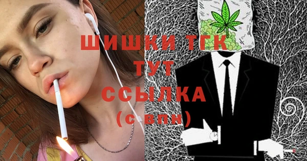 молекула духа Дмитровск