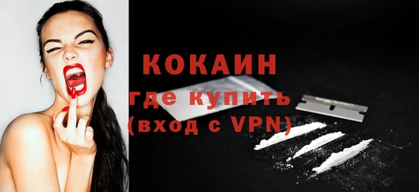 ешки Дмитриев