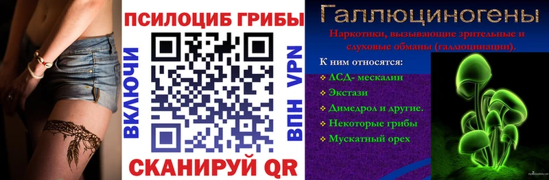 Купить  Гаврилов Посад  Псилоцибиновые грибы Psilocybine cubensis 